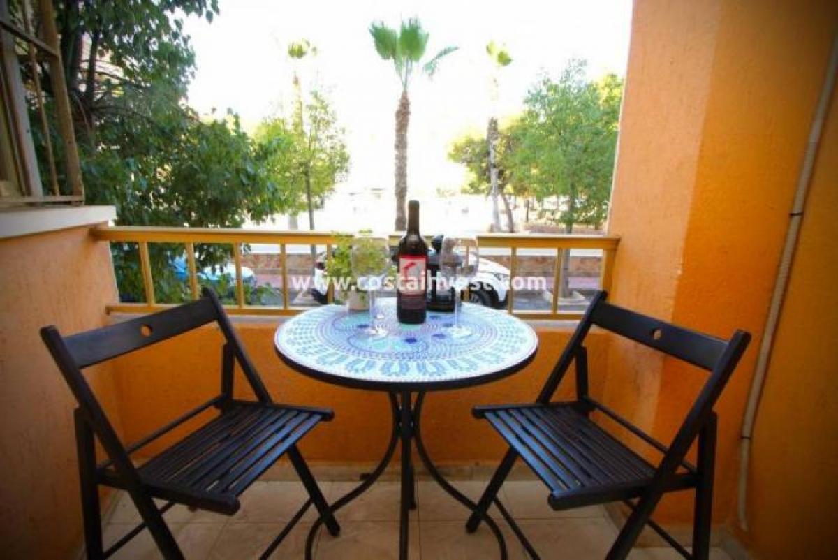 Picture of Apartment For Rent in Torrevieja, Alicante, Spain