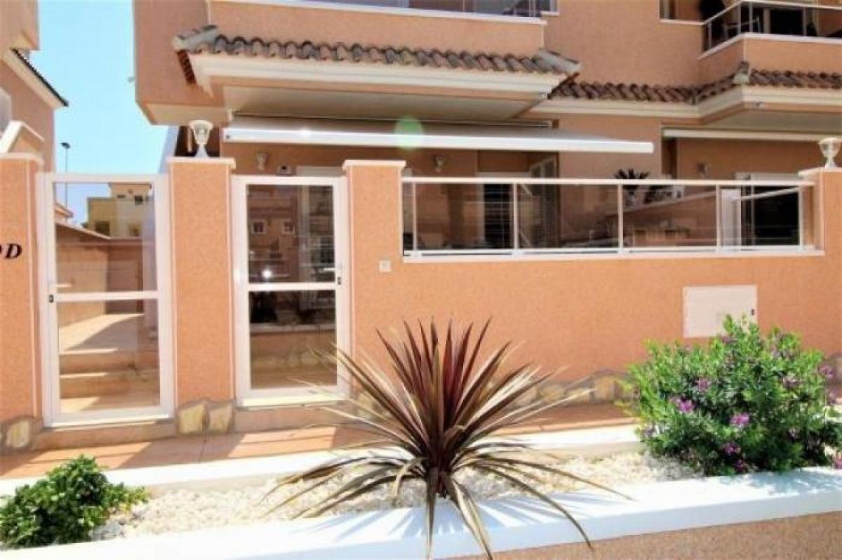 Picture of Apartment For Rent in Torrevieja, Alicante, Spain