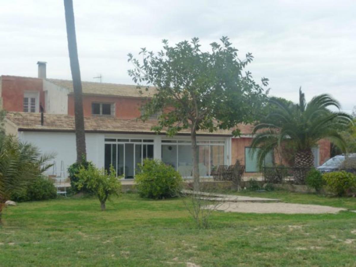Picture of Villa For Sale in Elche, Alicante, Spain