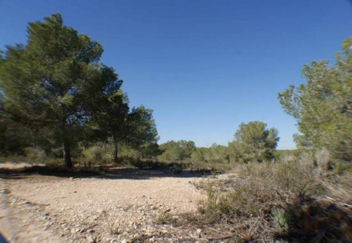 Picture of Residential Land For Sale in Pilar De La Horadada, Alicante, Spain