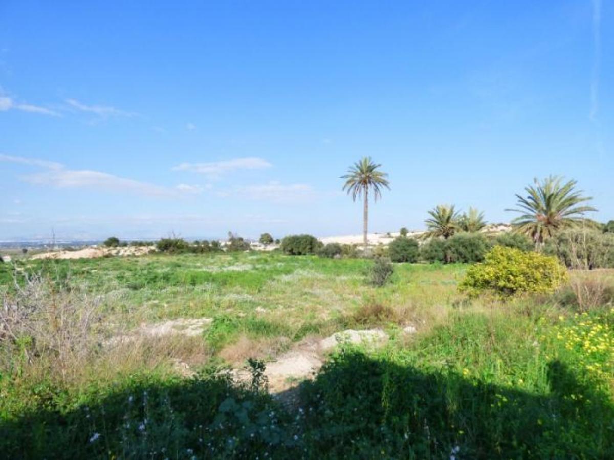 Picture of Residential Land For Sale in La Marina, Alicante, Spain