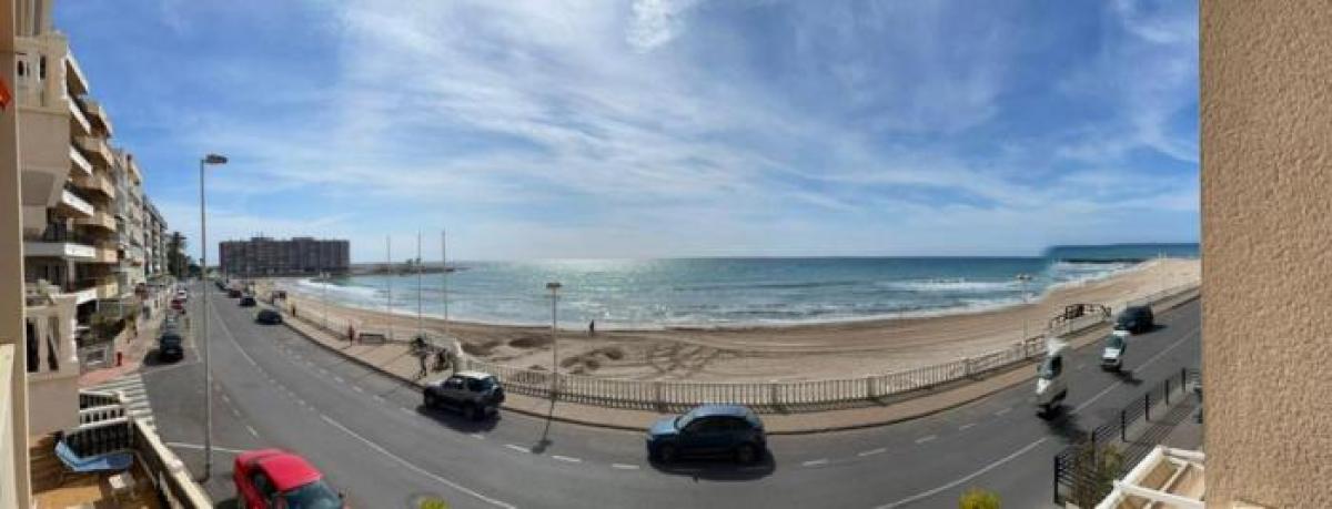 Picture of Apartment For Rent in Torrevieja, Alicante, Spain