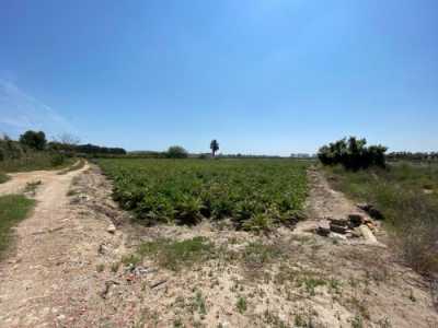 Residential Land For Sale in San Fulgencio, Spain