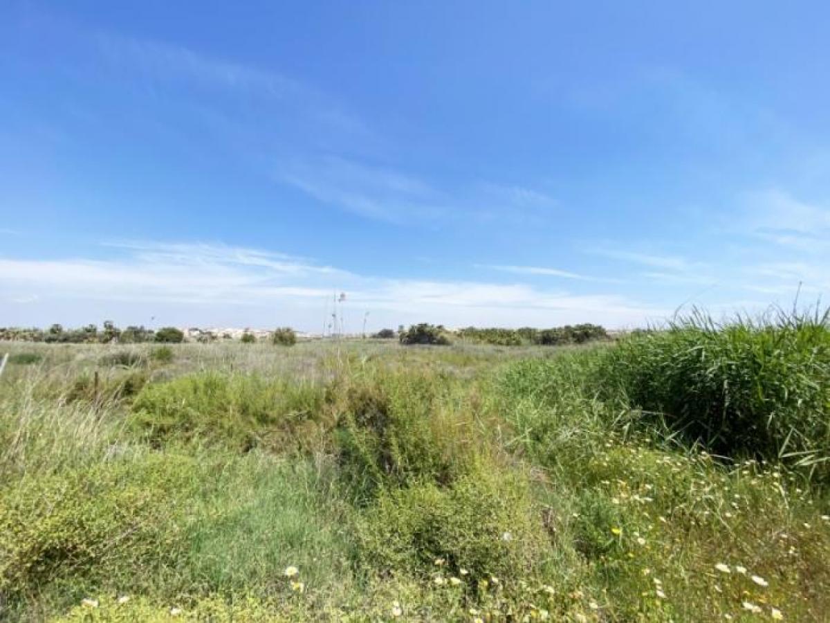 Picture of Residential Land For Sale in San Fulgencio, Alicante, Spain