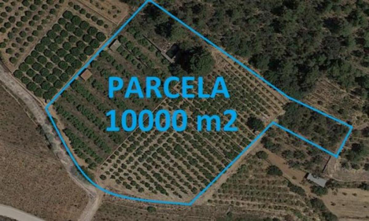 Picture of Home For Sale in Sagra, Alicante, Spain