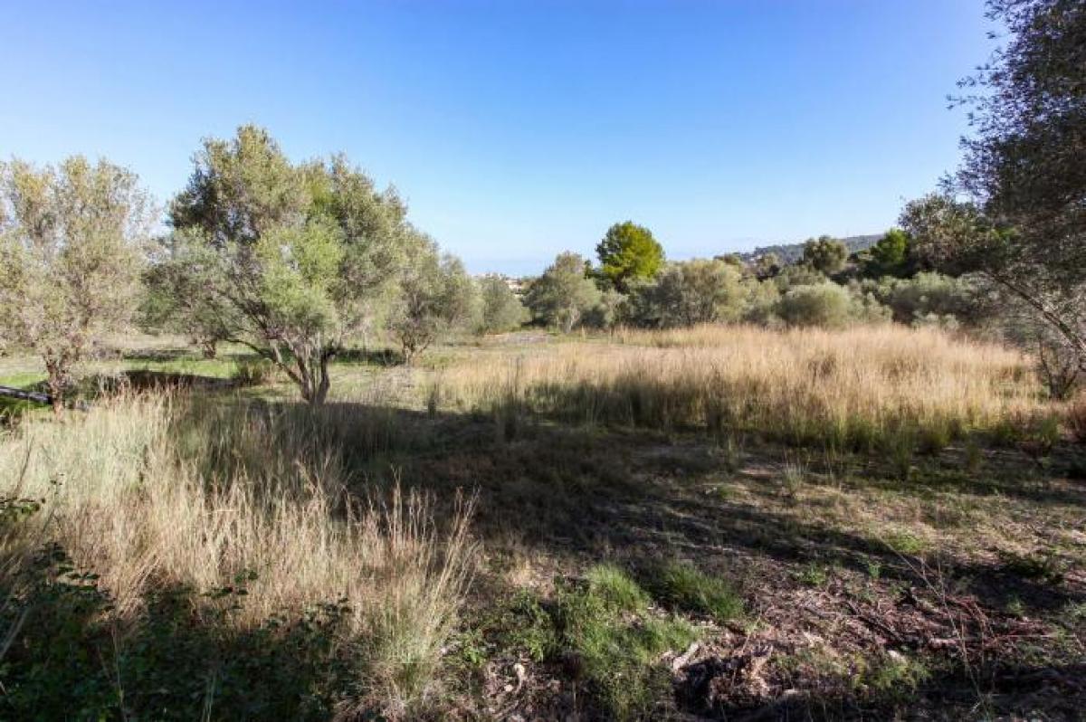 Picture of Residential Land For Sale in Orba, Alicante, Spain