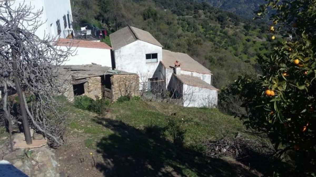 Picture of Apartment For Sale in Algatocin, Malaga, Spain