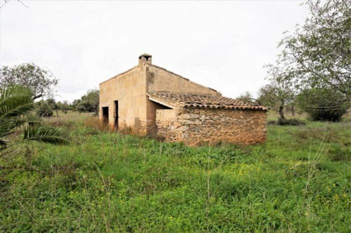 Picture of Apartment For Sale in Son Servera, Mallorca, Spain