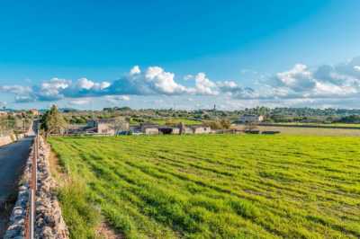 Apartment For Sale in Santa Margalida, Spain