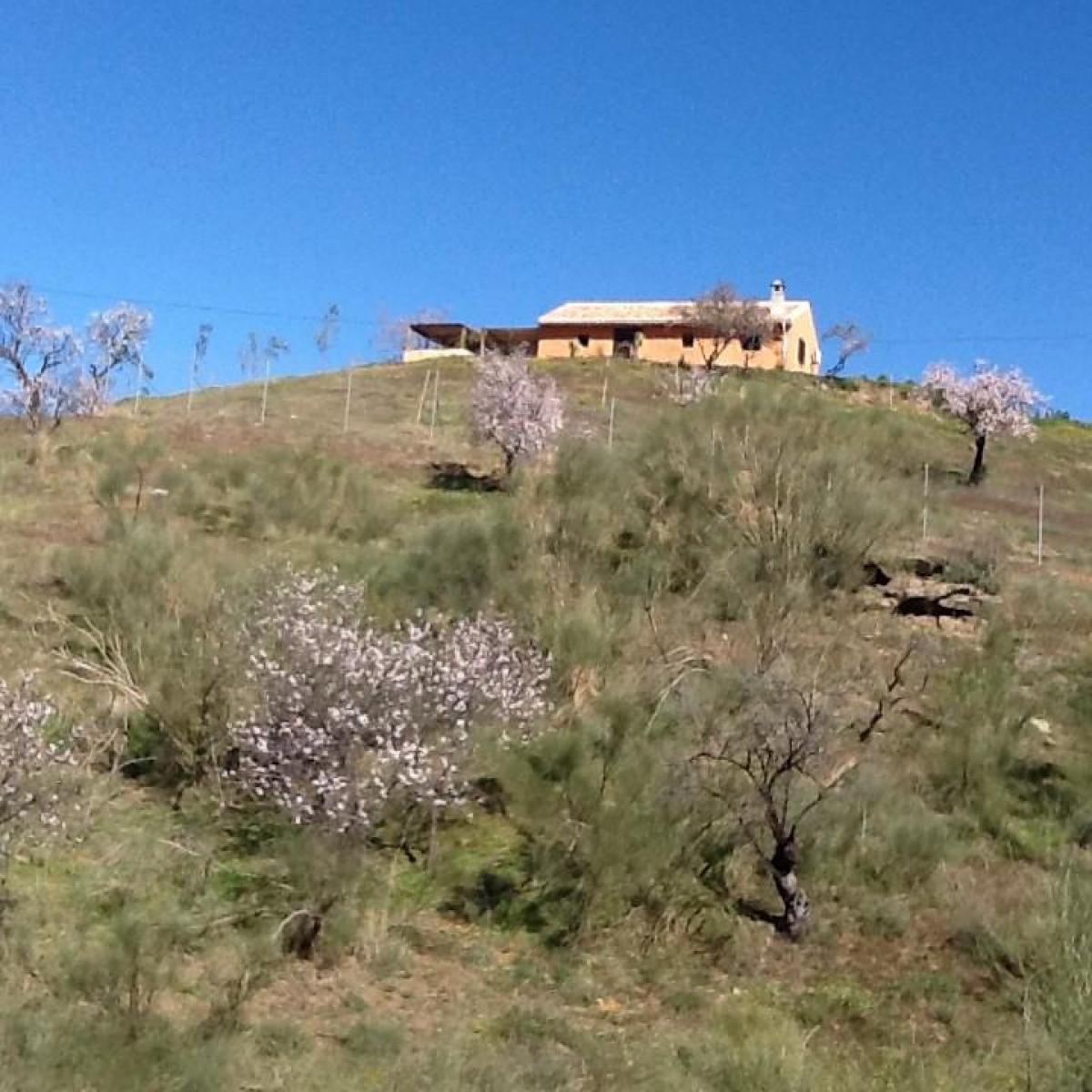 Picture of Apartment For Sale in Alora, Malaga, Spain