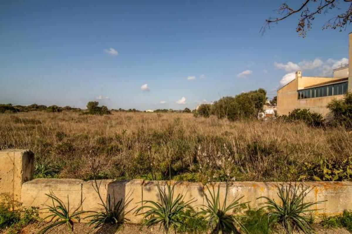 Picture of Apartment For Sale in Manacor, Mallorca, Spain