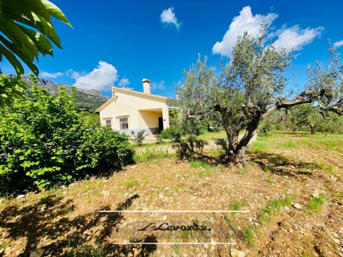 Picture of Apartment For Sale in Cocentaina, Alicante, Spain