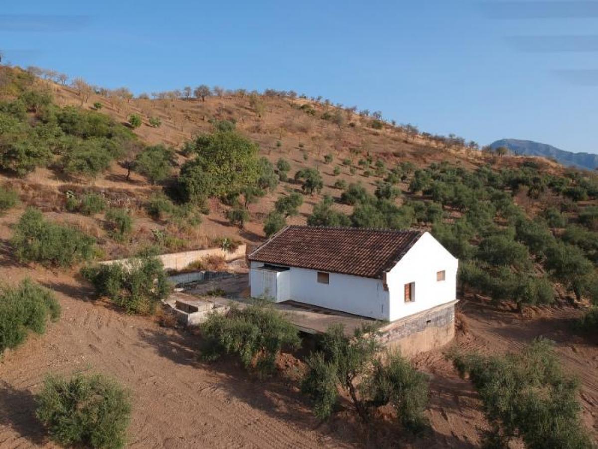 Picture of Apartment For Sale in Tolox, Malaga, Spain