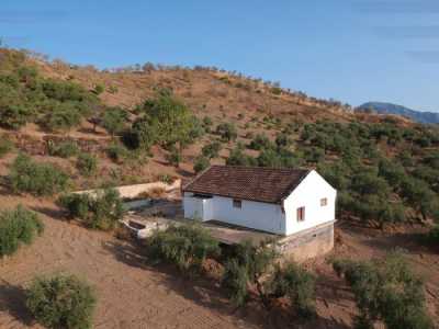 Apartment For Sale in 