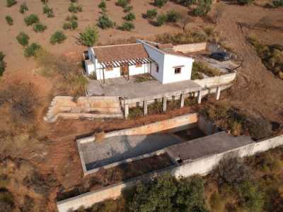 Apartment For Sale in 