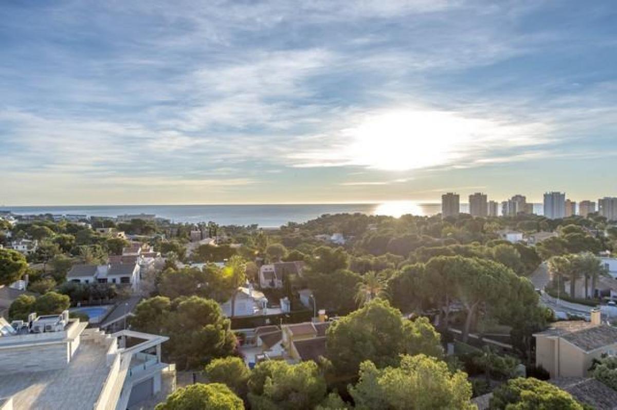 Picture of Apartment For Sale in Cabo Roig, Alicante, Spain