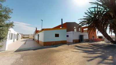 Apartment For Sale in Albatera, Spain