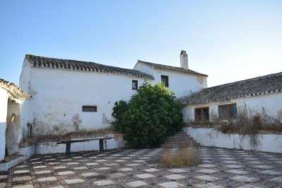 Apartment For Sale in 