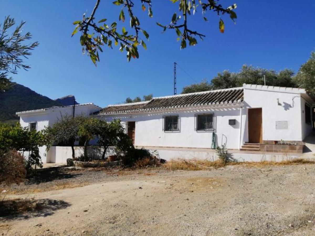 Picture of Apartment For Sale in Loja, Granada, Spain