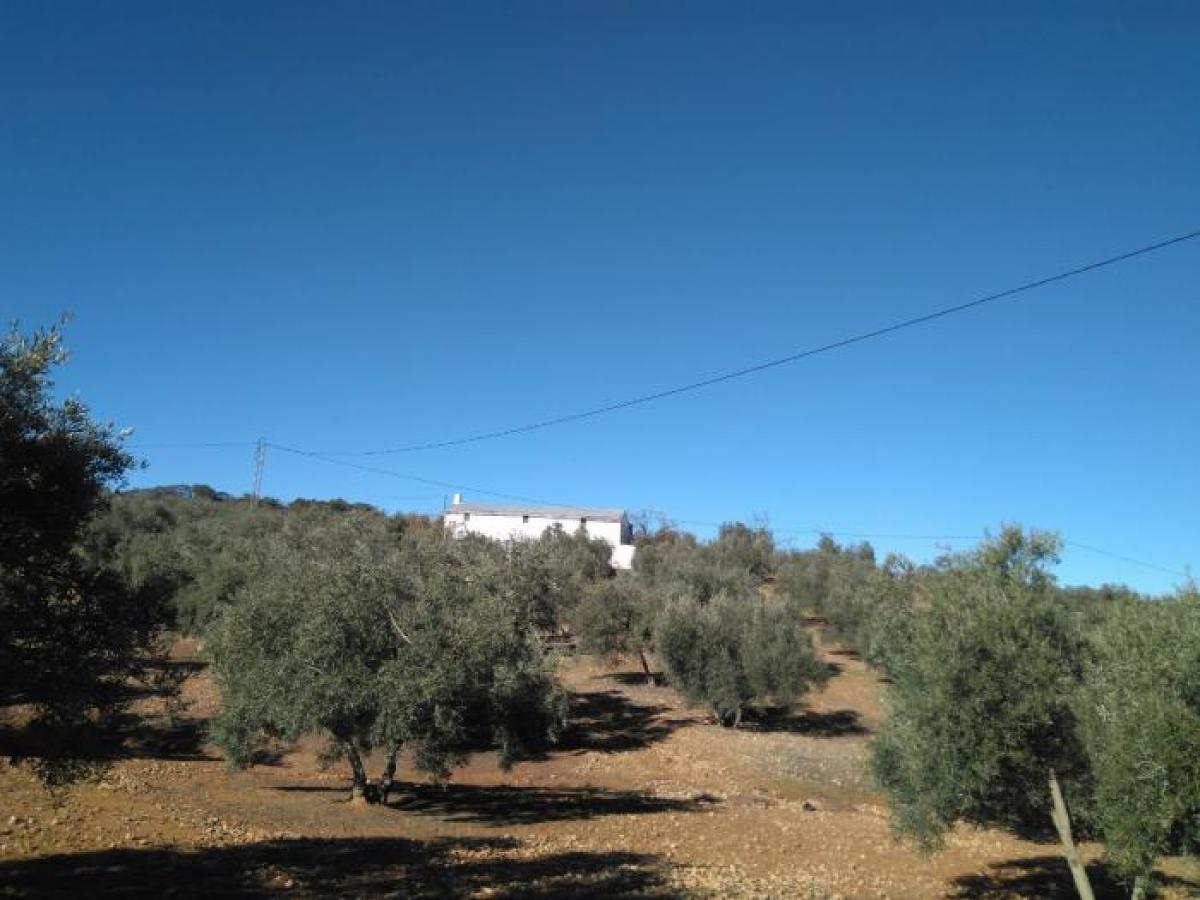 Picture of Apartment For Sale in Loja, Granada, Spain