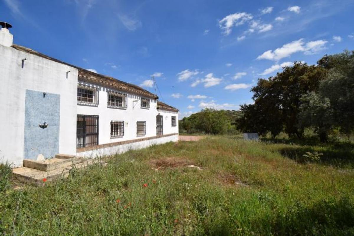 Picture of Apartment For Sale in Loja, Granada, Spain