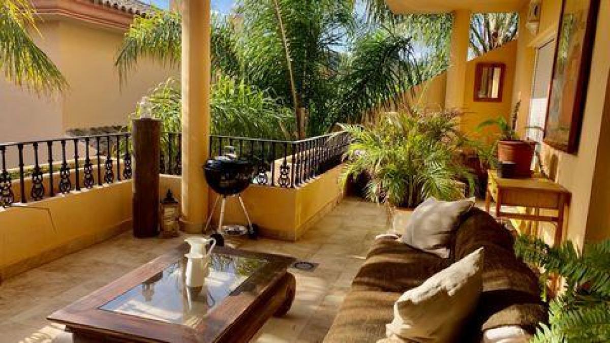 Picture of Apartment For Rent in Marbella, Andalusia, Spain