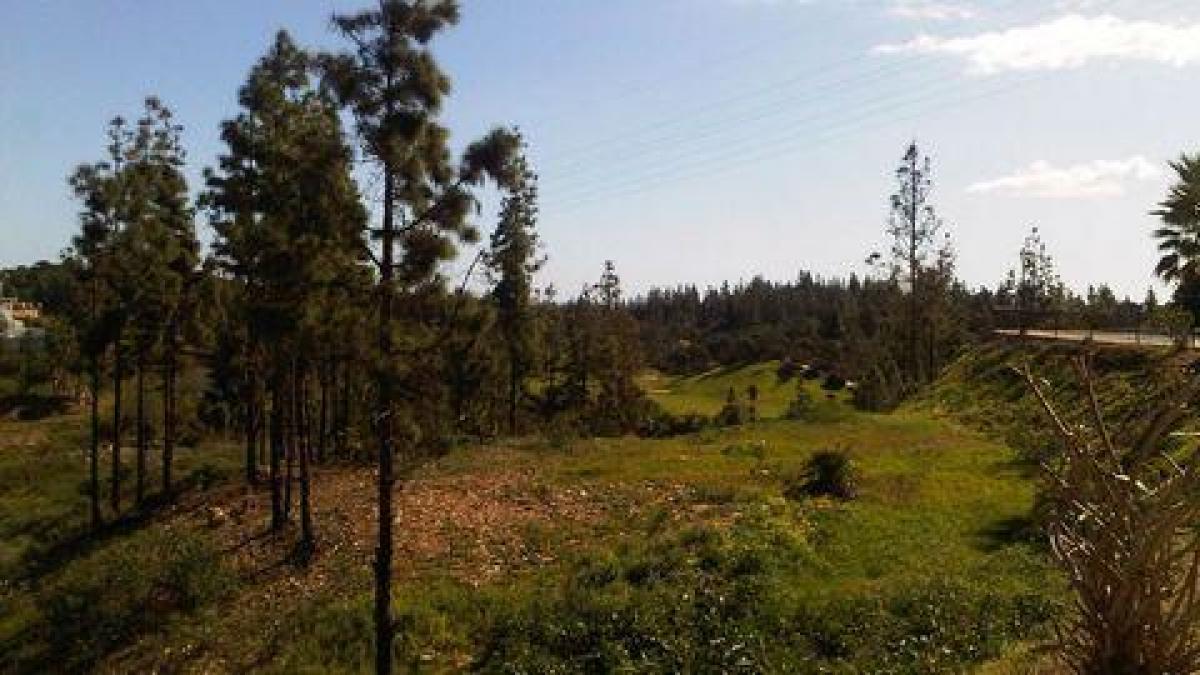 Picture of Residential Land For Sale in Mijas, Malaga, Spain