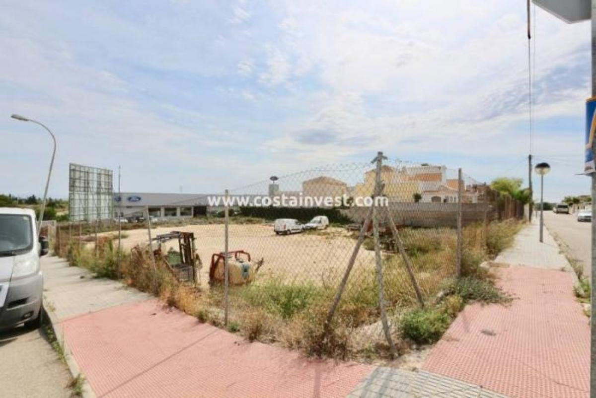Picture of Residential Land For Sale in San Miguel De Salinas, Alicante, Spain