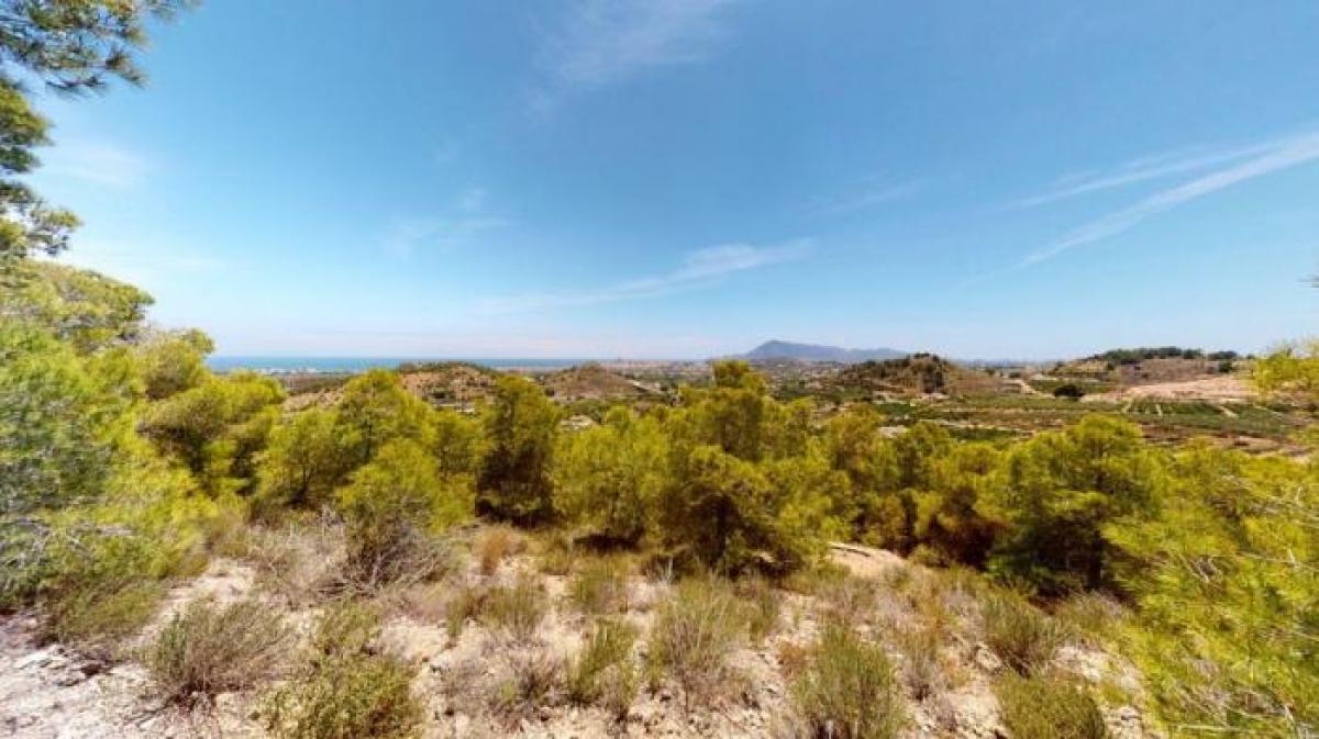Picture of Residential Land For Sale in Altea, Alicante, Spain