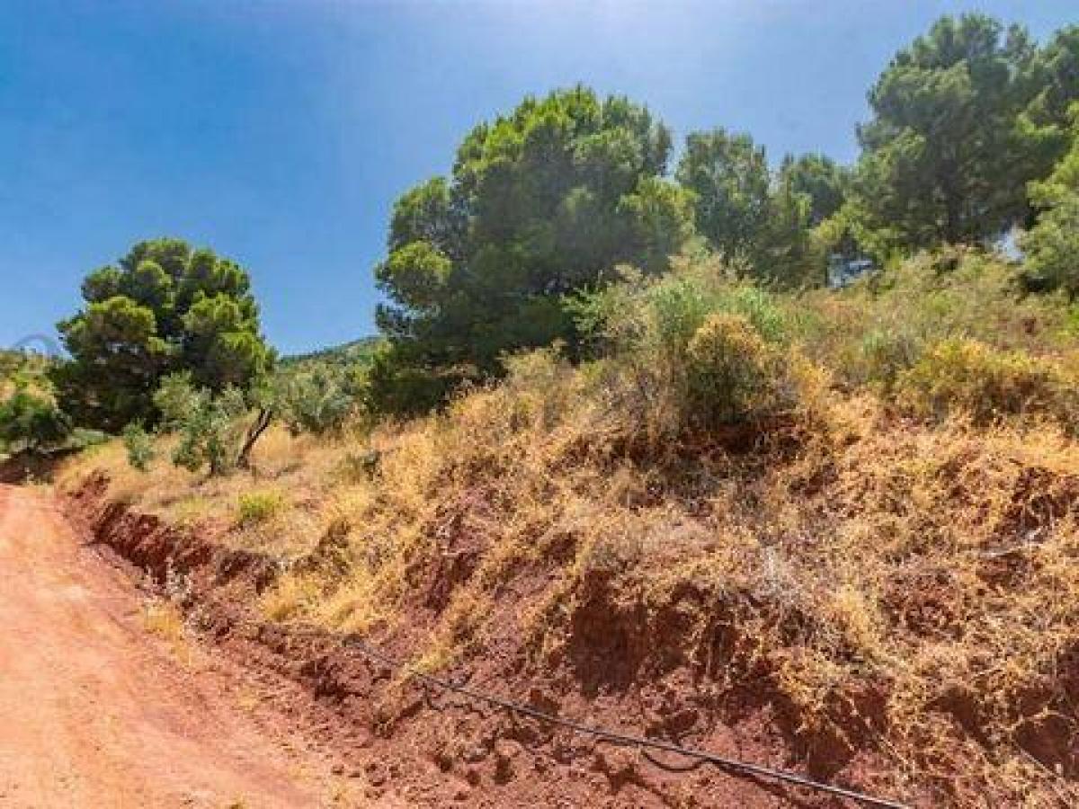 Picture of Residential Land For Sale in Ardales, Malaga, Spain