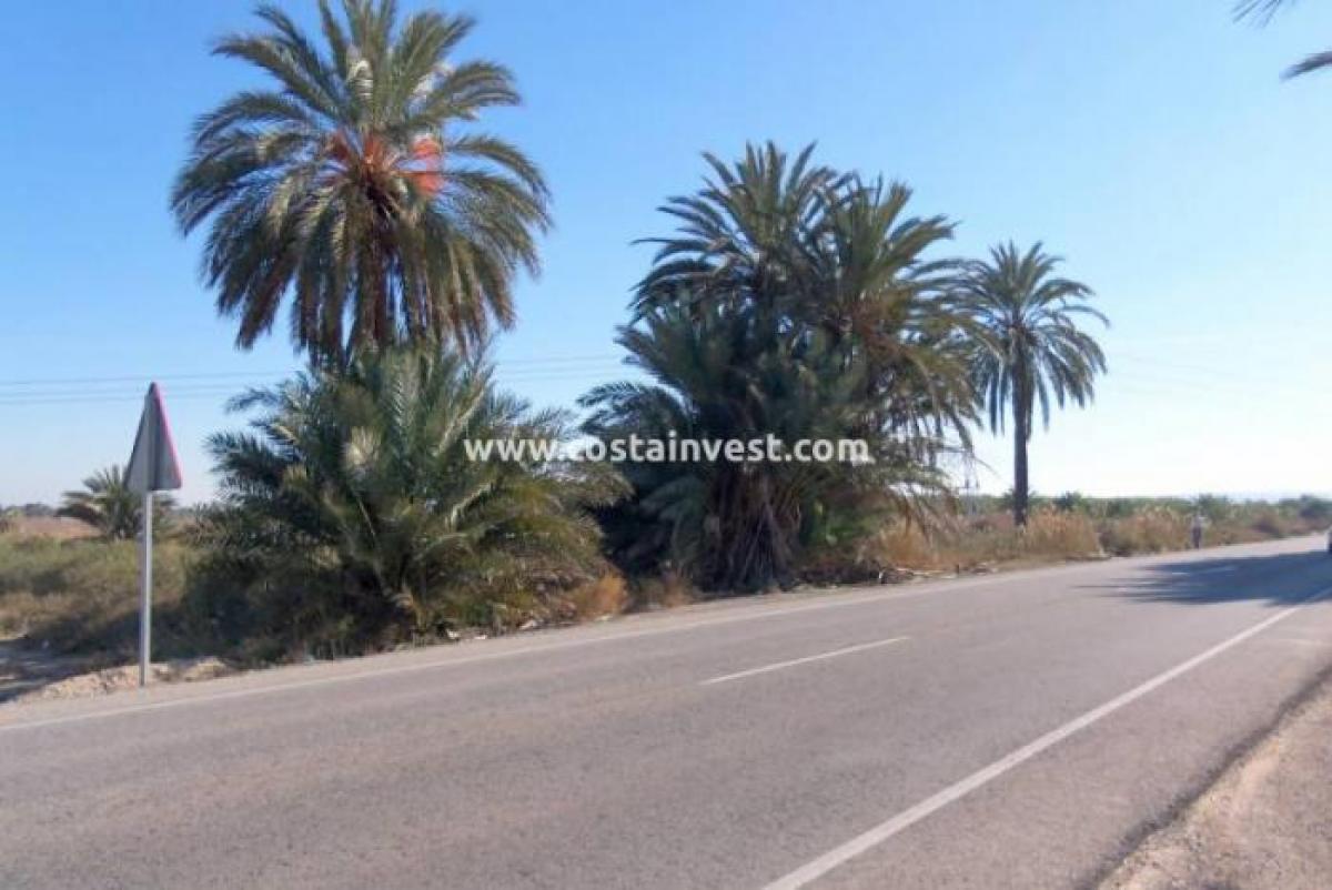 Picture of Residential Land For Sale in La Marina, Alicante, Spain