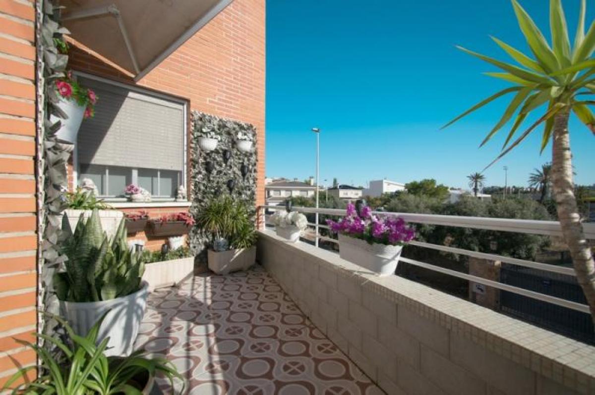 Picture of Apartment For Sale in Elche, Alicante, Spain