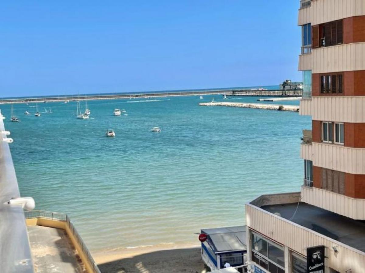 Picture of Apartment For Rent in Torrevieja, Alicante, Spain