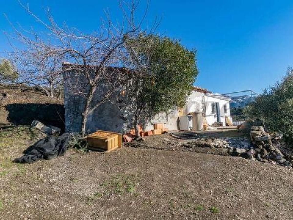 Picture of Farm For Sale in Canillas De Albaida, Malaga, Spain