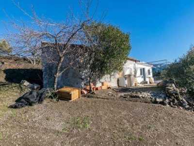 Farm For Sale in Canillas De Albaida, Spain