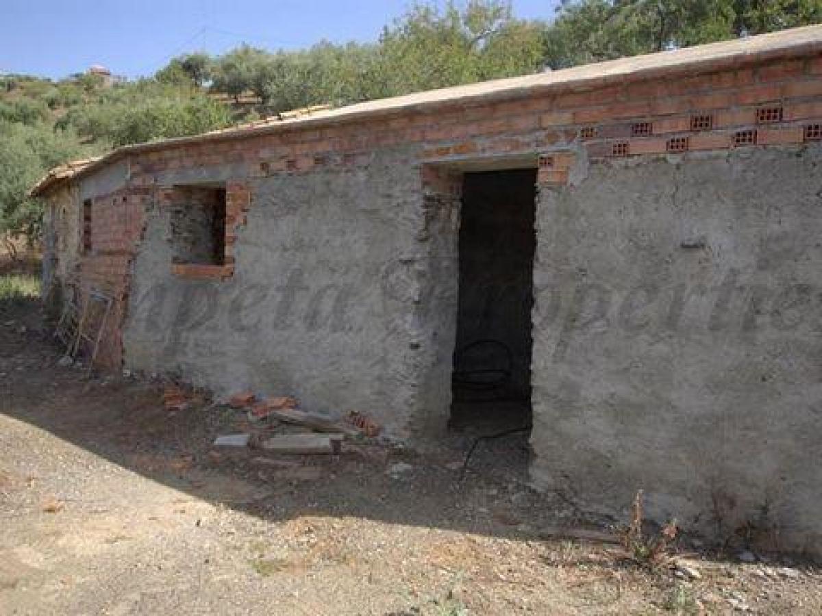 Picture of Farm For Sale in Sedella, Malaga, Spain