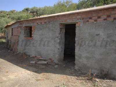Farm For Sale in Sedella, Spain