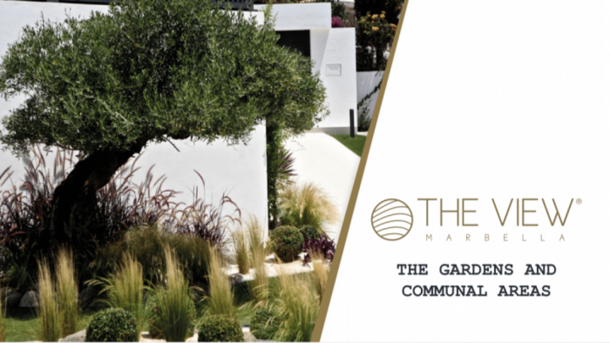 Picture of Apartment For Sale in Benahavis, Malaga, Spain