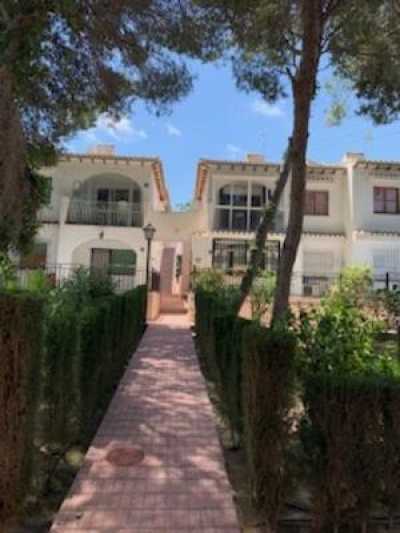 Apartment For Rent in Los Balcones, Spain