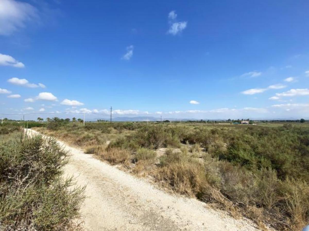 Picture of Residential Land For Sale in La Marina, Alicante, Spain