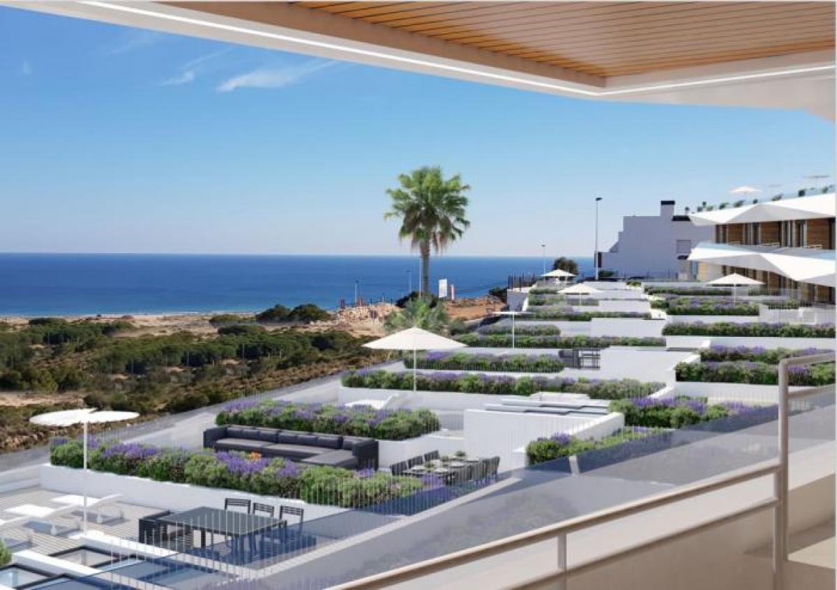 Picture of Apartment For Sale in Elche, Alicante, Spain