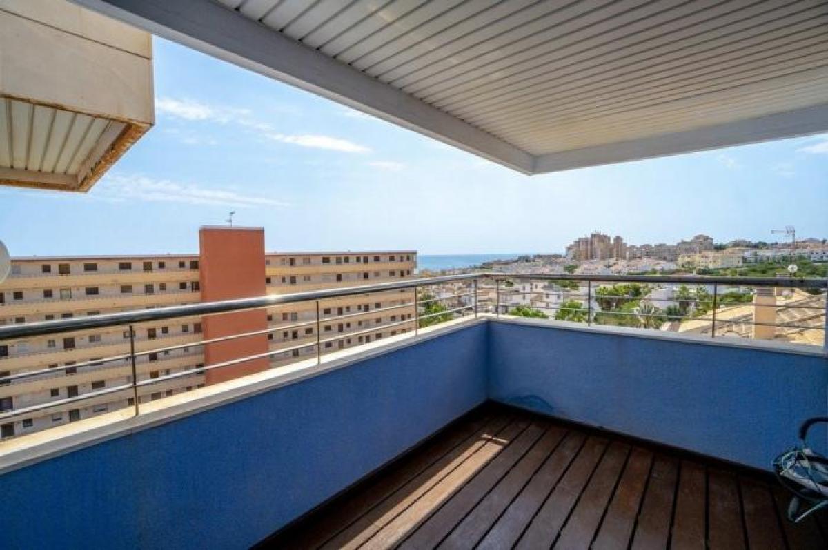 Picture of Apartment For Rent in Torrevieja, Alicante, Spain