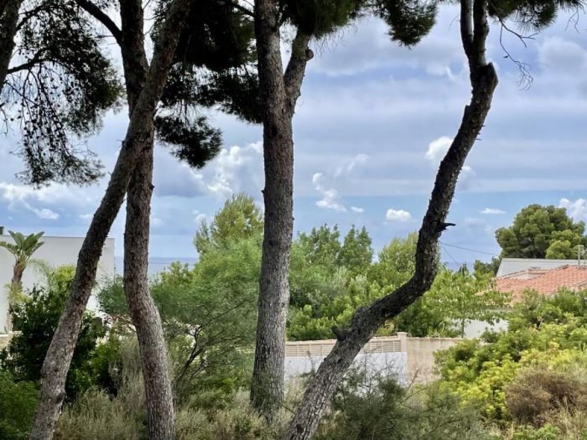 Picture of Apartment For Sale in Benissa Costa, Alicante, Spain