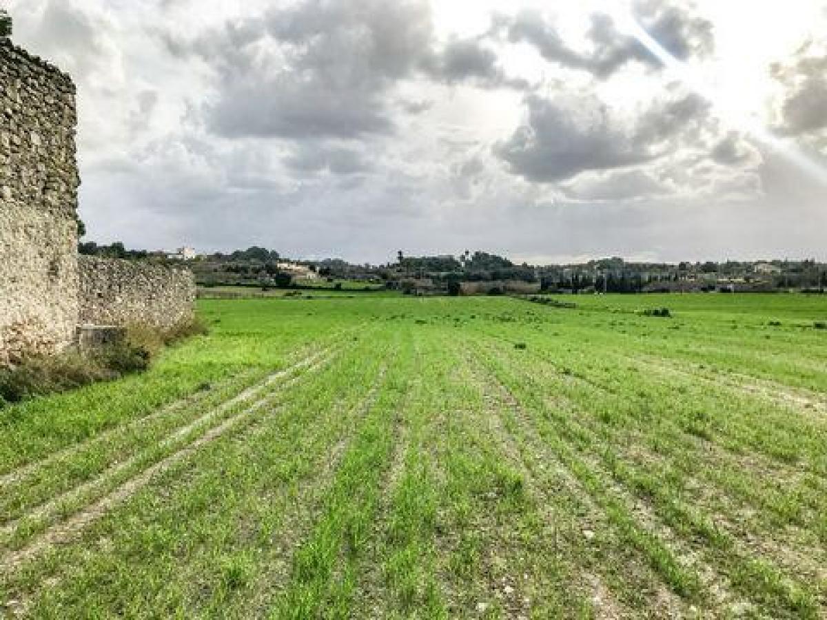 Picture of Residential Land For Sale in Lloret De Vistalegre, Mallorca, Spain