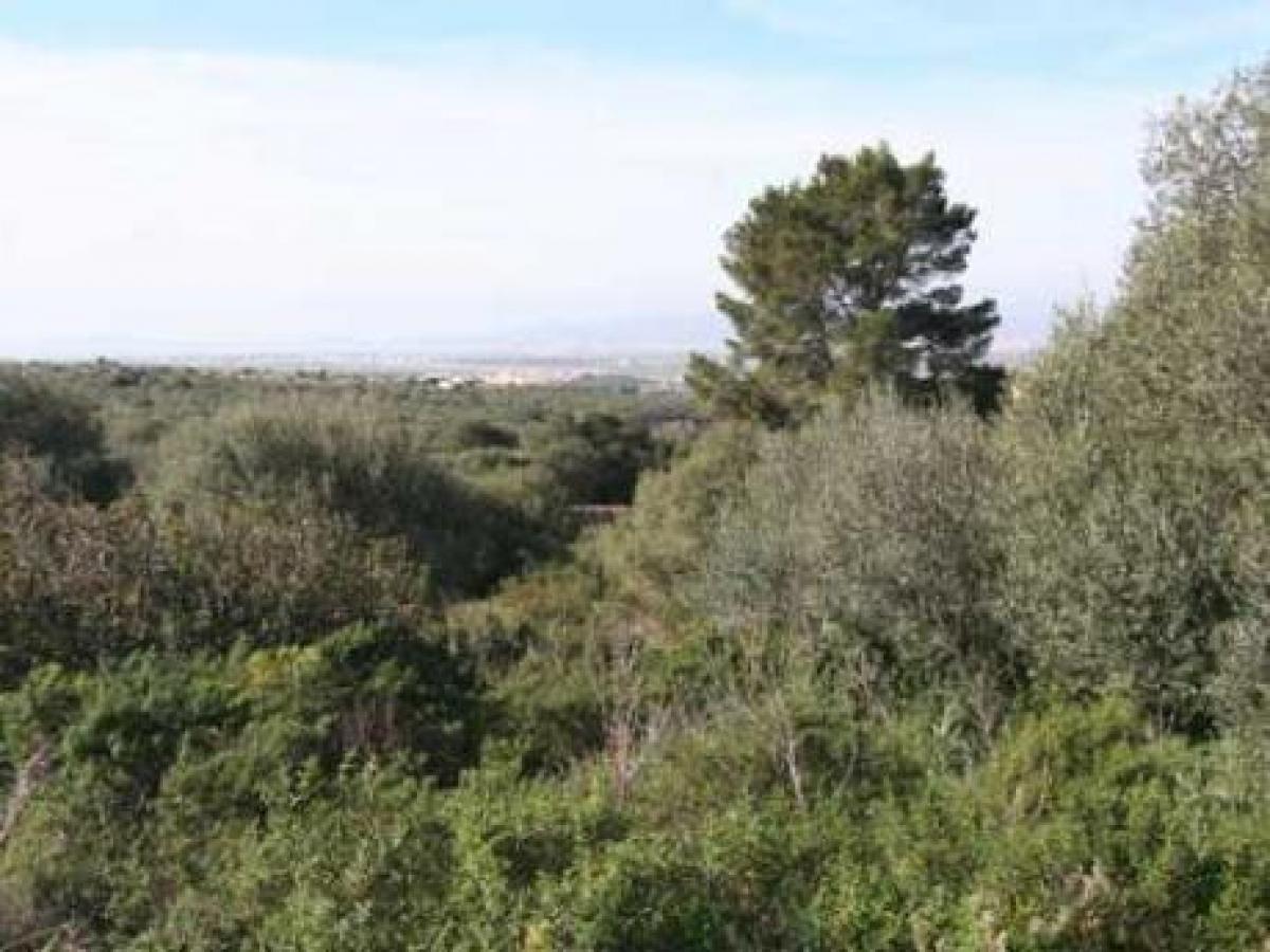 Picture of Residential Land For Sale in Son Gual, Mallorca, Spain
