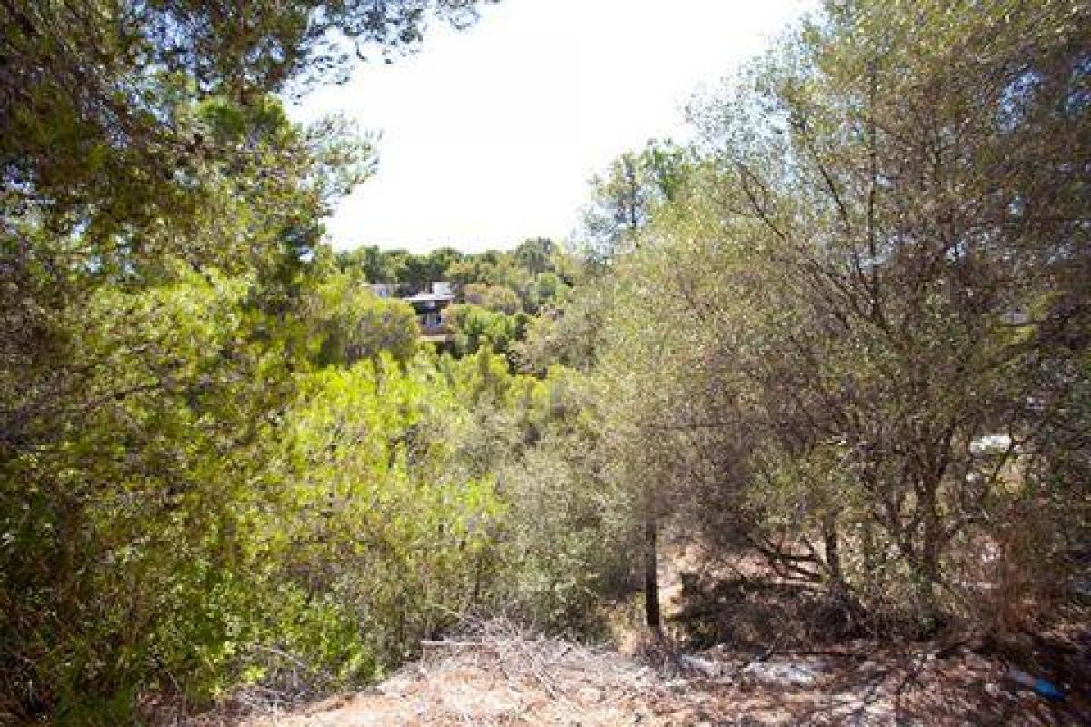Picture of Residential Land For Sale in Portals Nous, Mallorca, Spain