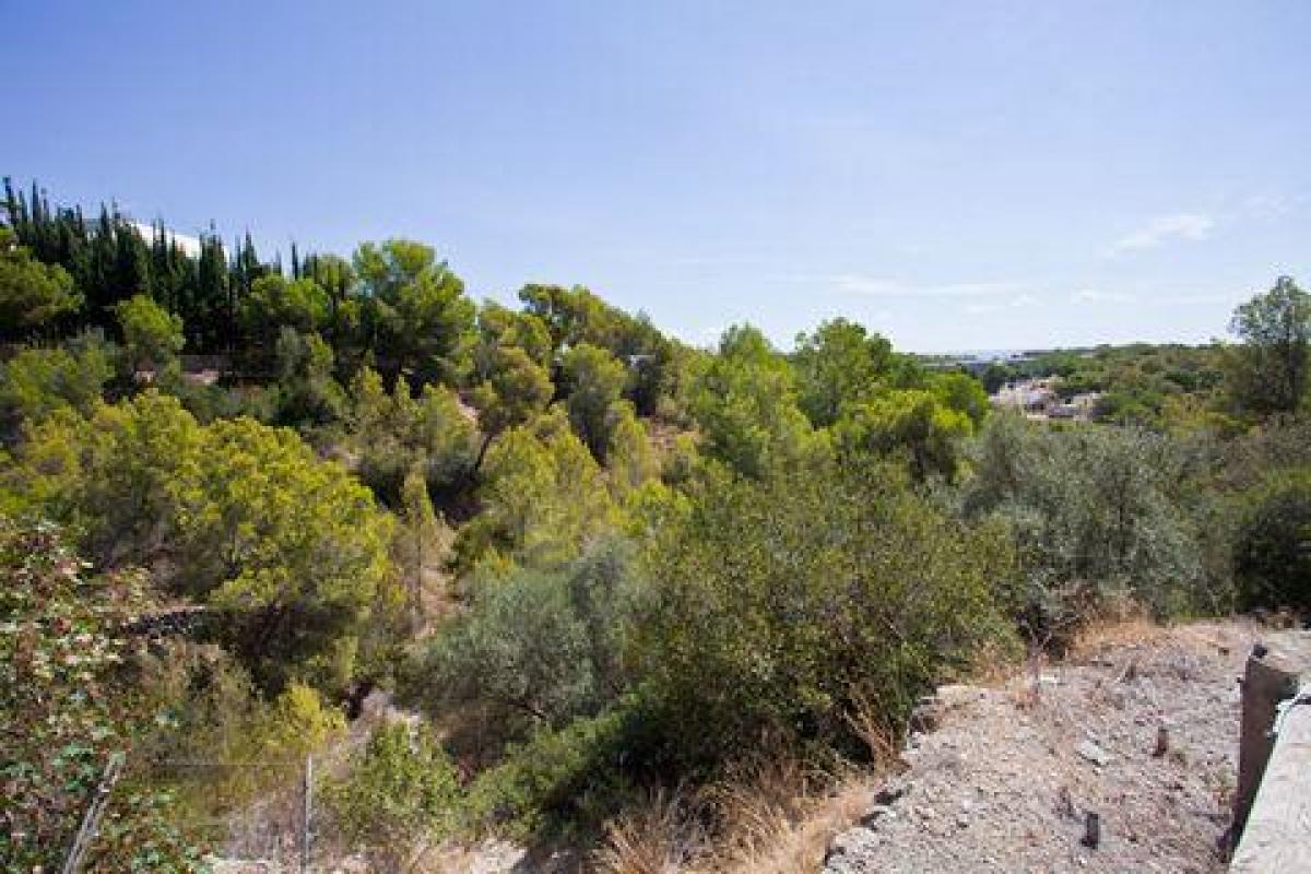 Picture of Residential Land For Sale in Portals Nous, Mallorca, Spain