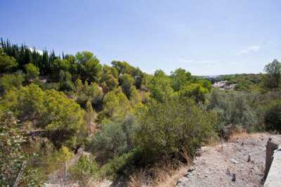 Residential Land For Sale in Portals Nous, Spain