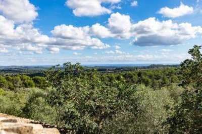 Residential Land For Sale in Manacor, Spain