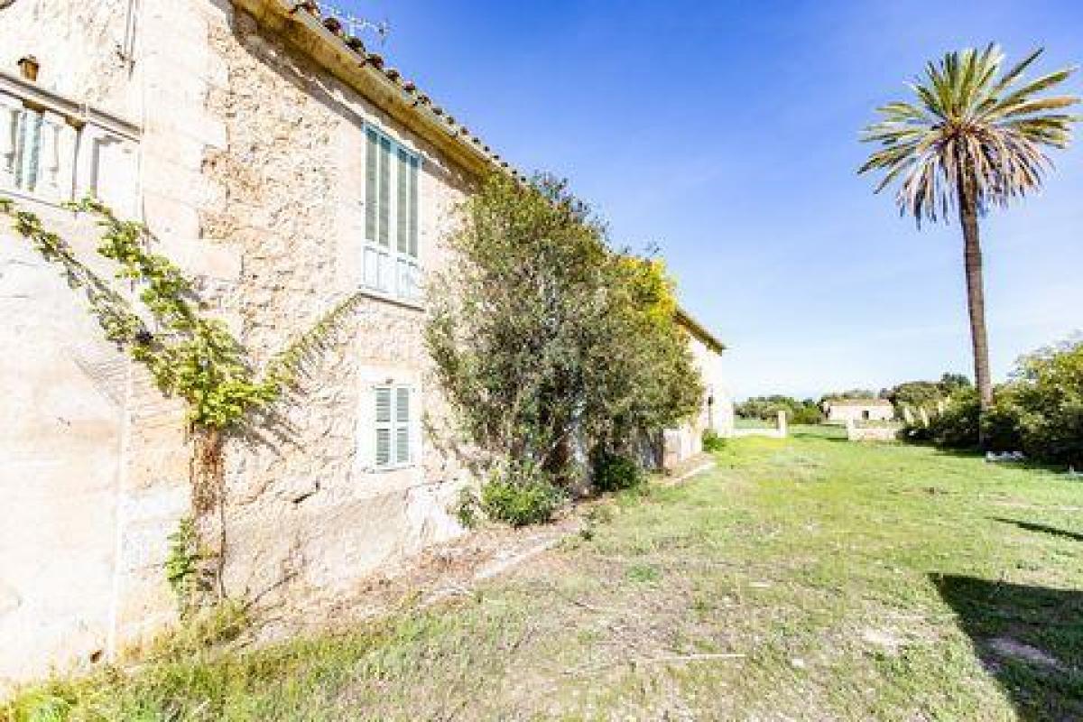 Picture of Villa For Sale in Selva, Mallorca, Spain